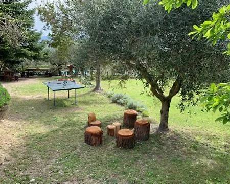 Il Grappolo E La Rosa Agriturismo In Montefalco Casale (Umbria)